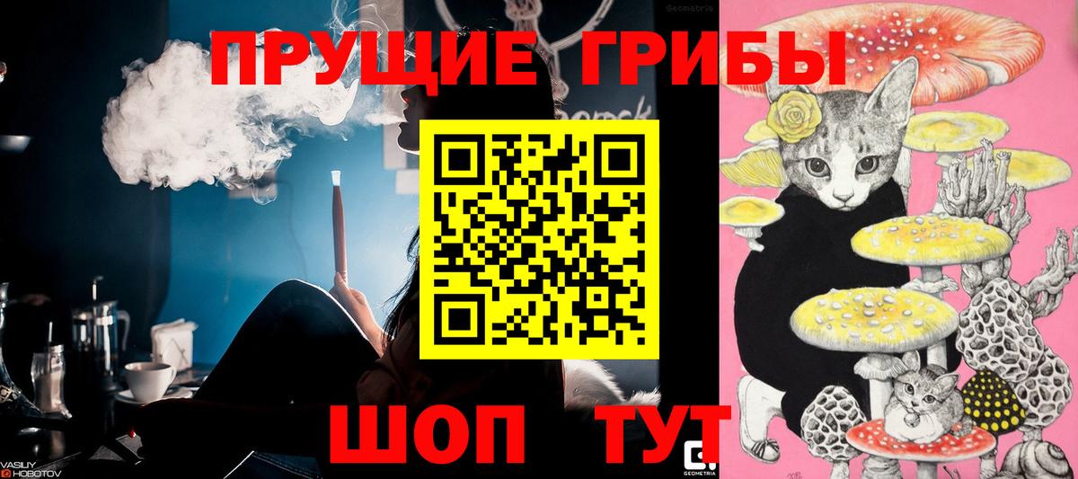 Сарапул  Псилоцибиновые грибы мицелий  Вход с VPN  Псилоцибиновые грибы мухоморы 